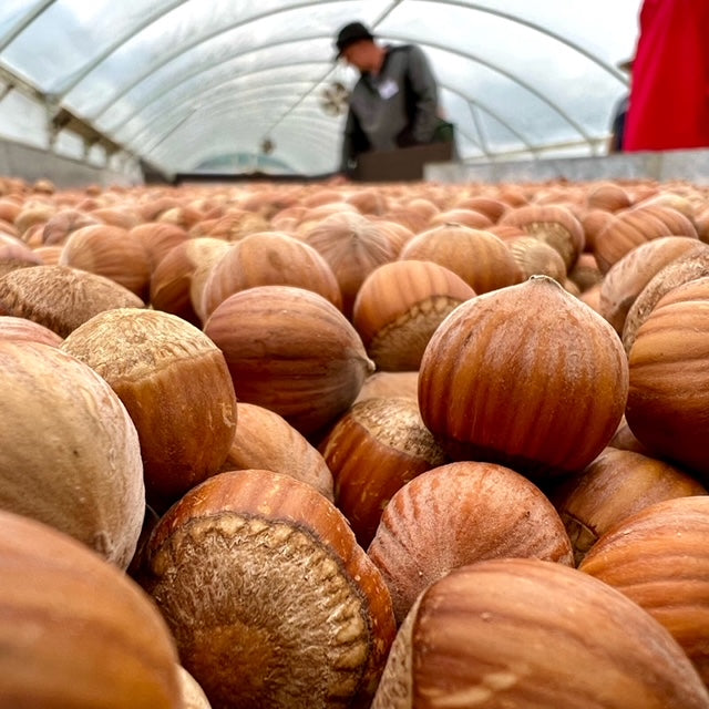 Australian Hazelnuts Chocolate Nut Bars Thanks Darl
