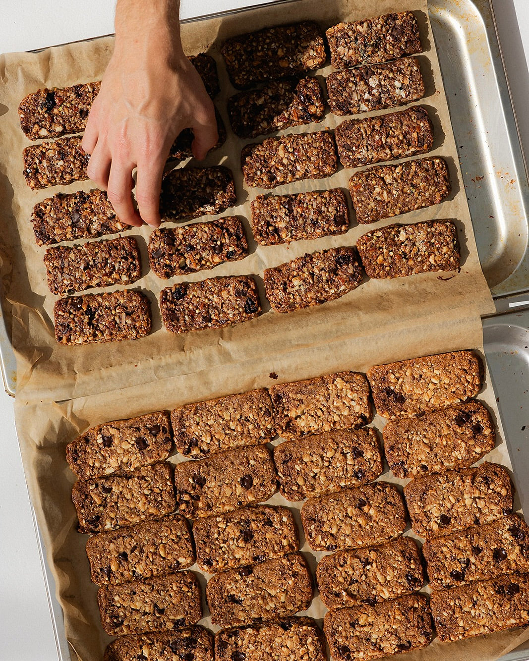 Darl Bars - Hazelnut & Dark Chocolate